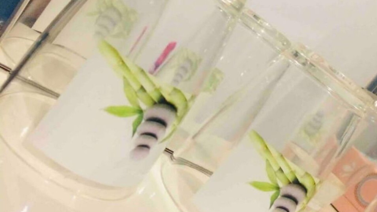 Photo of Bathroom in Saint-Saulve