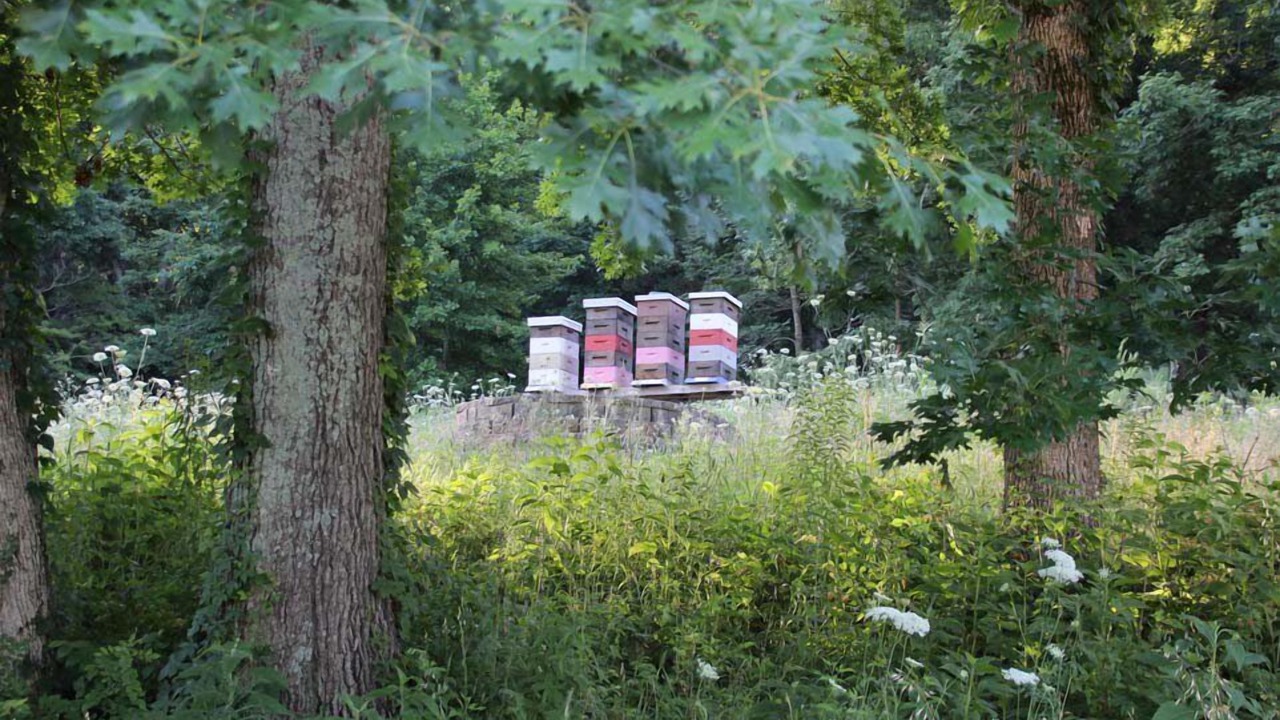Photo of Outdoor in Franklin