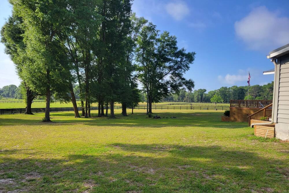 Photo of Others in O Brien