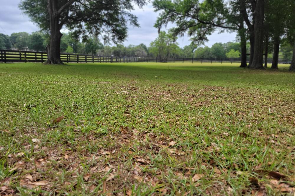 Photo of Others in O Brien