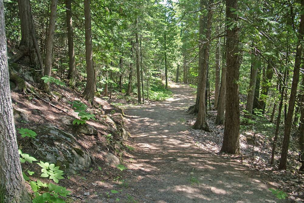 Photo of Outdoor in Bouchette