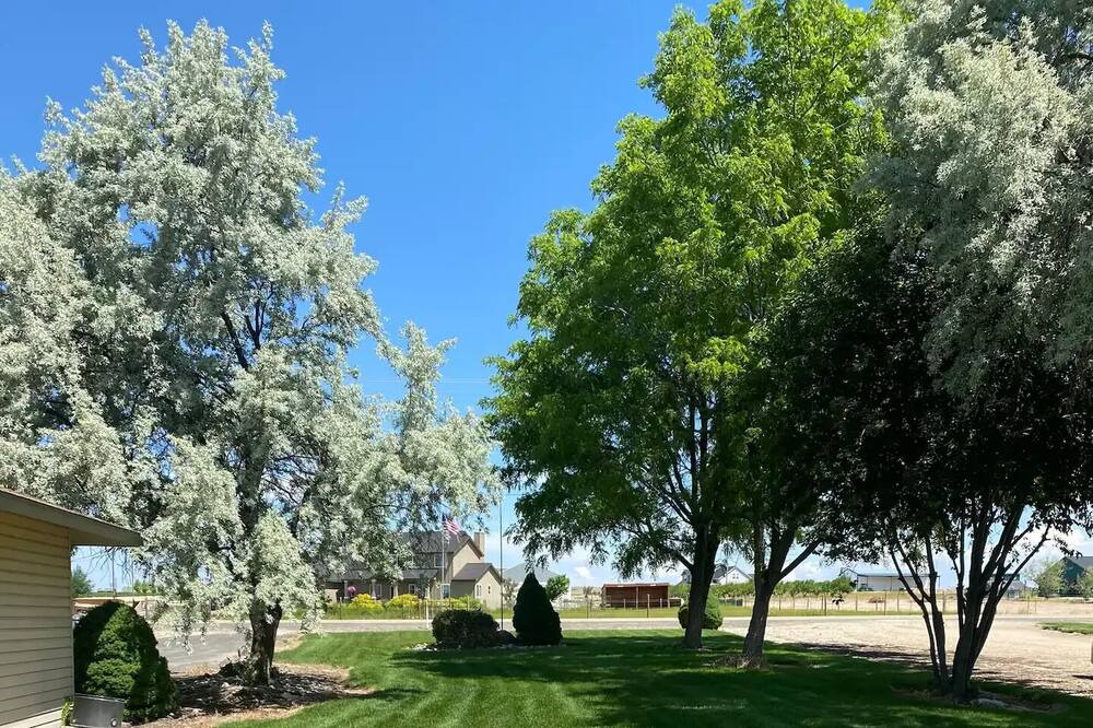 Photo of Others in Canyon County