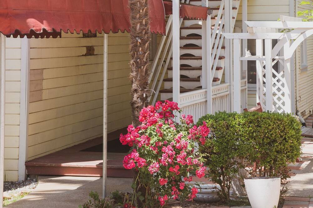 Photo of Outdoor in Jamestown