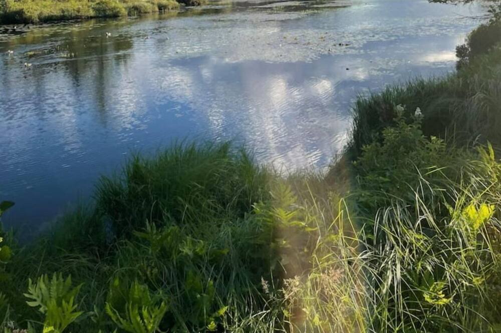 Photo of Outdoor in Chertsey