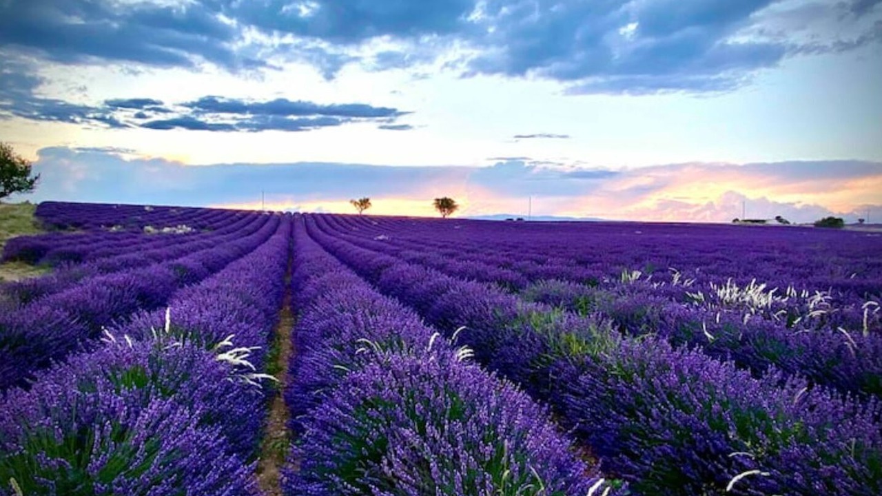 Photo of Outdoor in Greoux-les-Bains