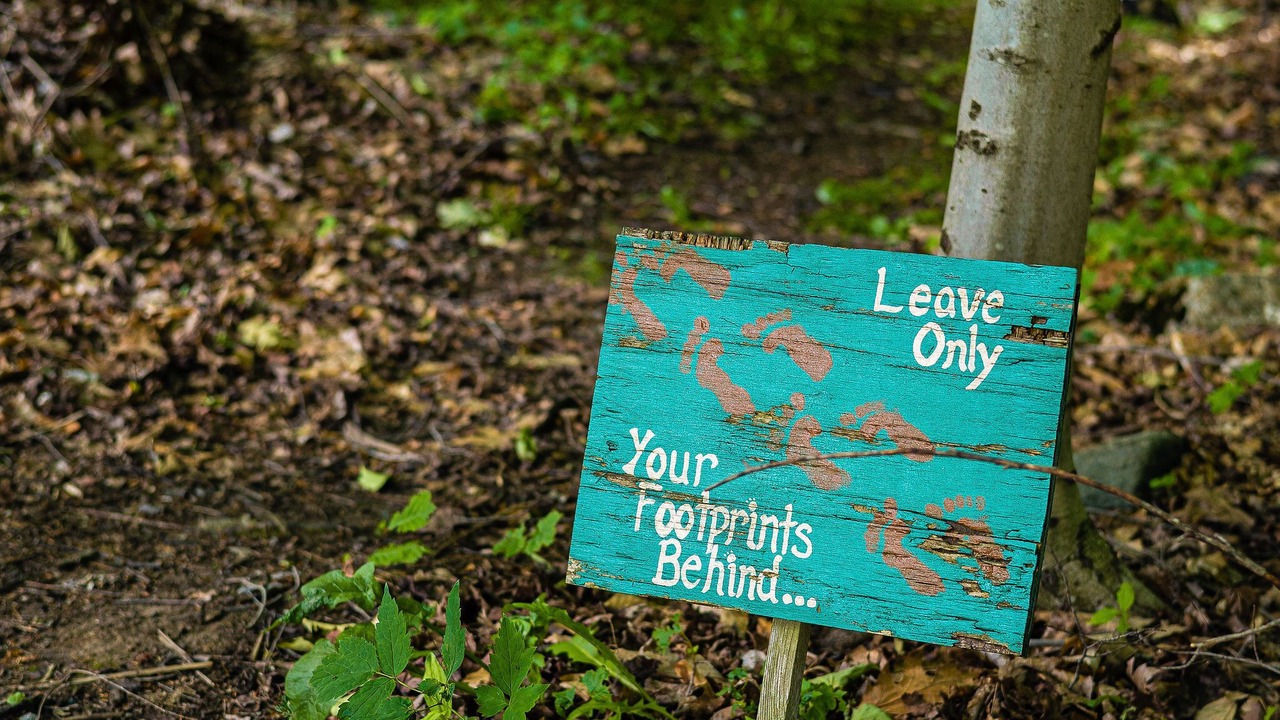 Photo of Outdoor in Tupper Lake