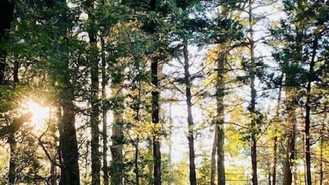 Photo of Others in Log Cabin