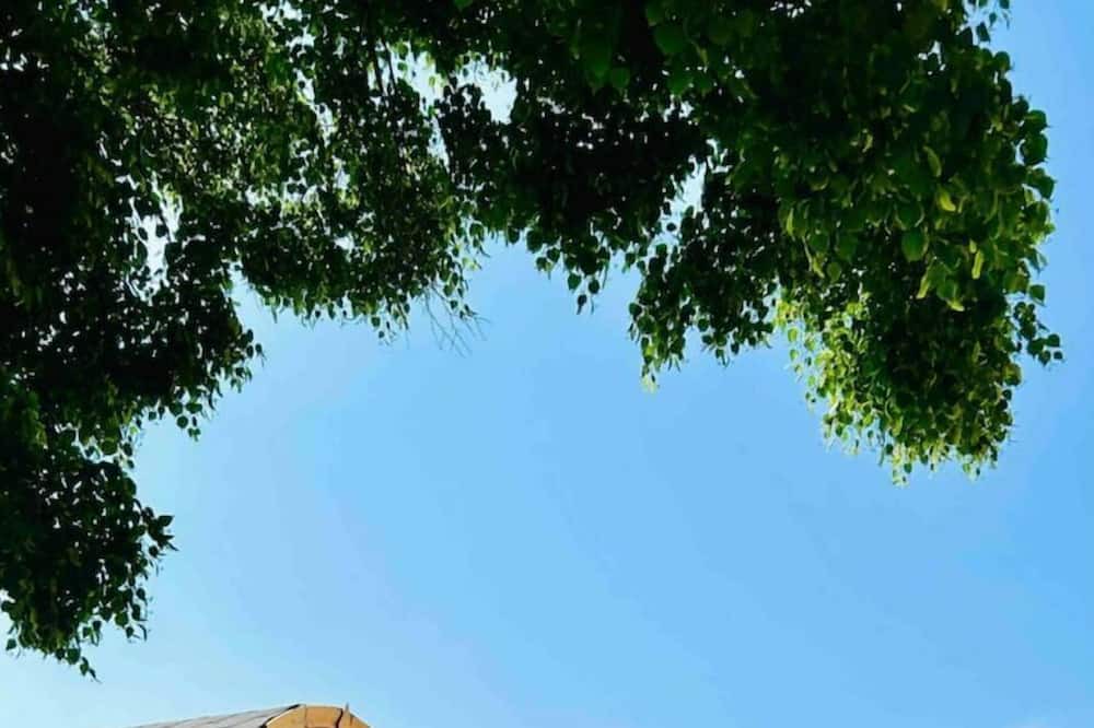 Photo of Outdoor in Jagée