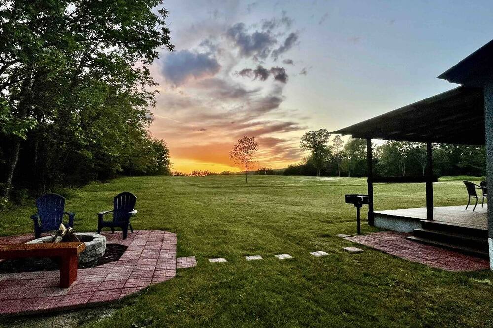 Photo of Outdoor in Daisy