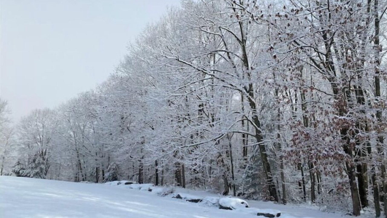 Photo of Others in Ellenville