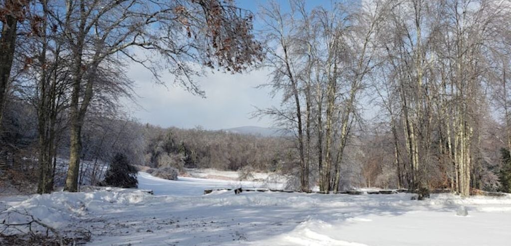 Photo of Outdoor in Ellenville