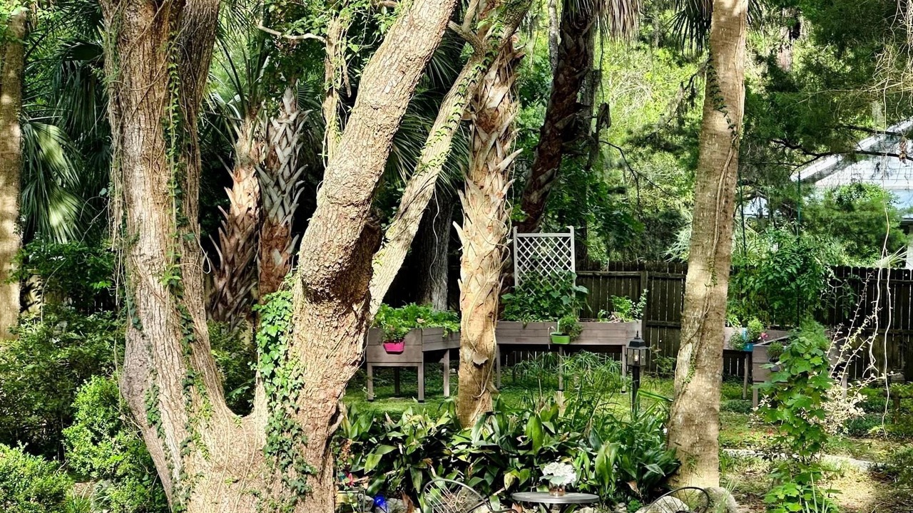 Photo of Outdoor in High Springs