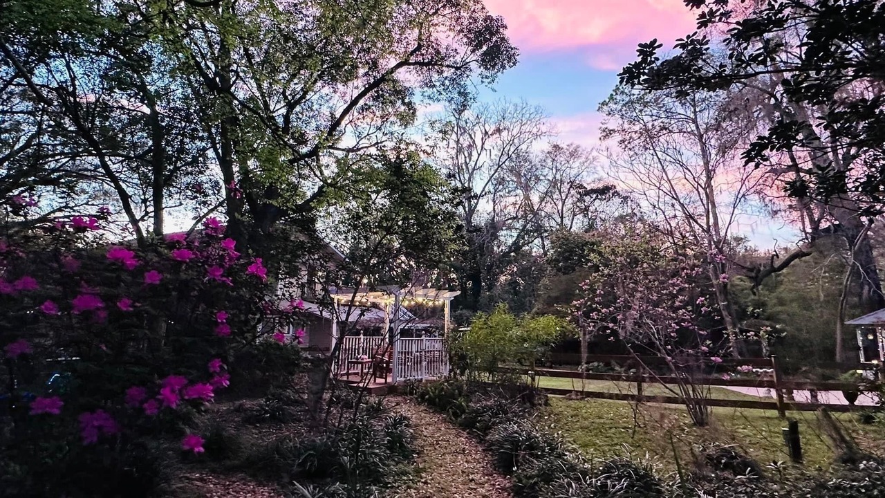 Photo of Outdoor in High Springs