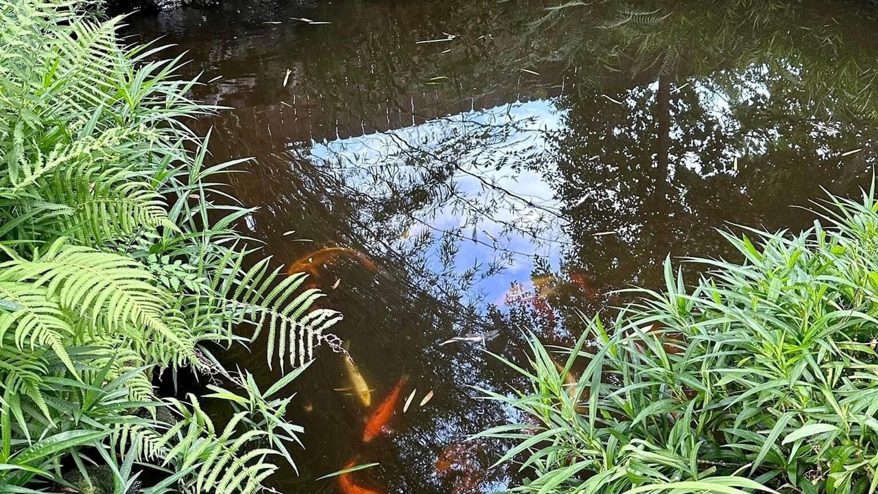 Photo of Outdoor in High Springs