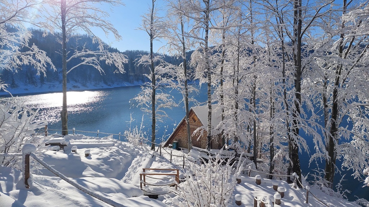 Photo of Outdoor in Lokve