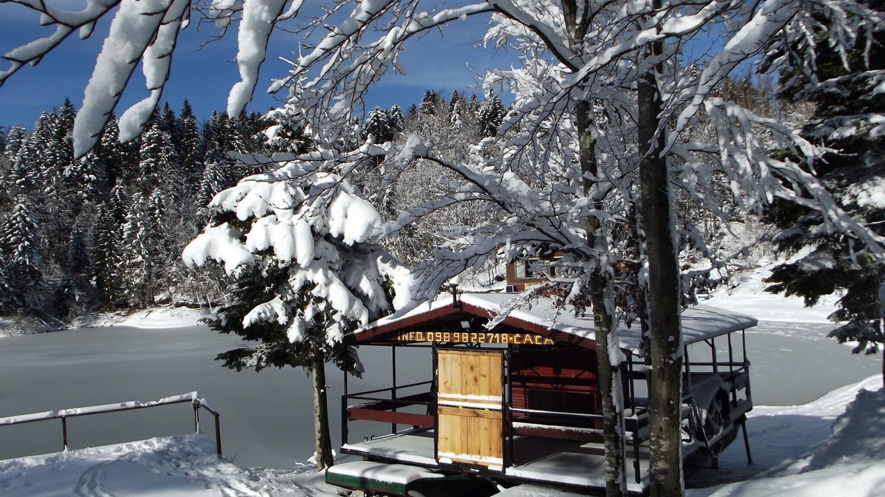 Photo of Outdoor in Lokve
