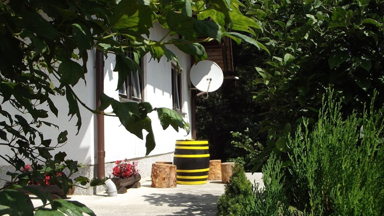 Photo of Outdoor in Lokve