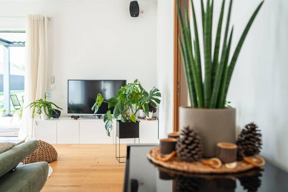 Photo of Livingroom in Mignaloux-Beauvoir