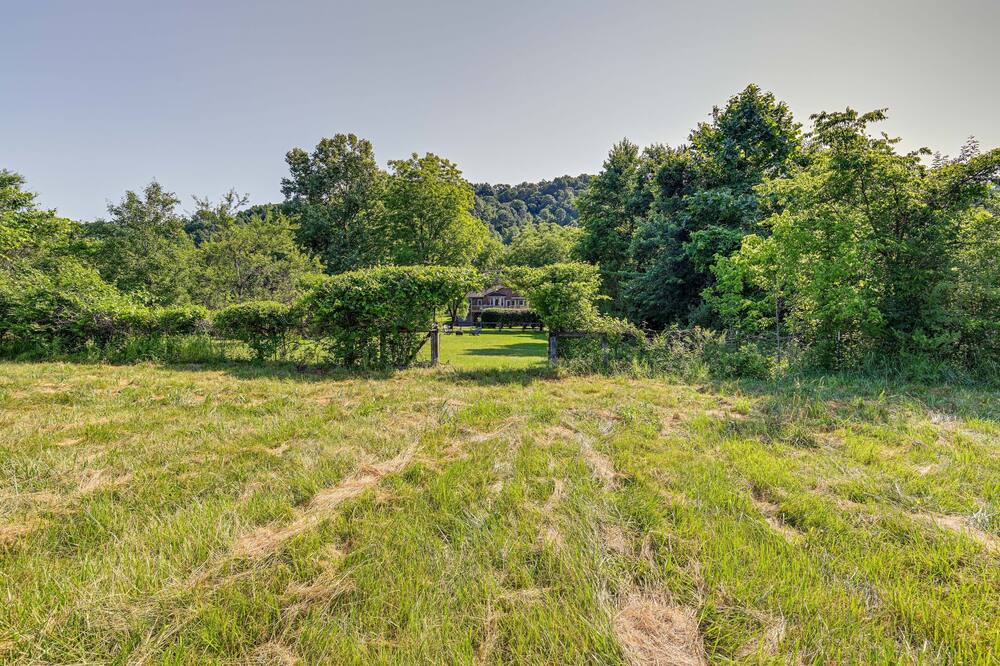 Photo of Others in Whites Creek
