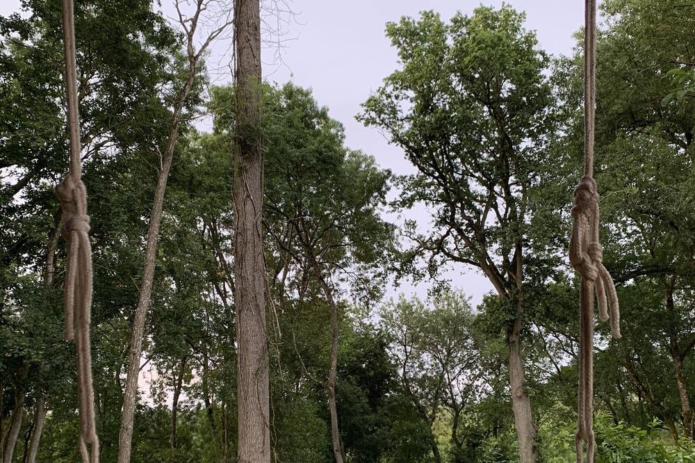 Photo of Others in Montreuil-sur-Loir