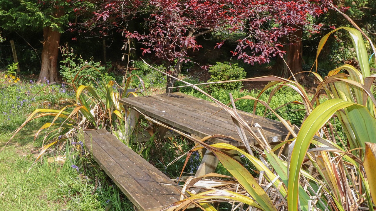 Photo of Outdoor in Llanfairfechan