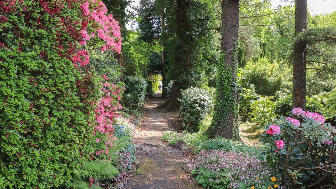 Photo of Outdoor in Llanfairfechan
