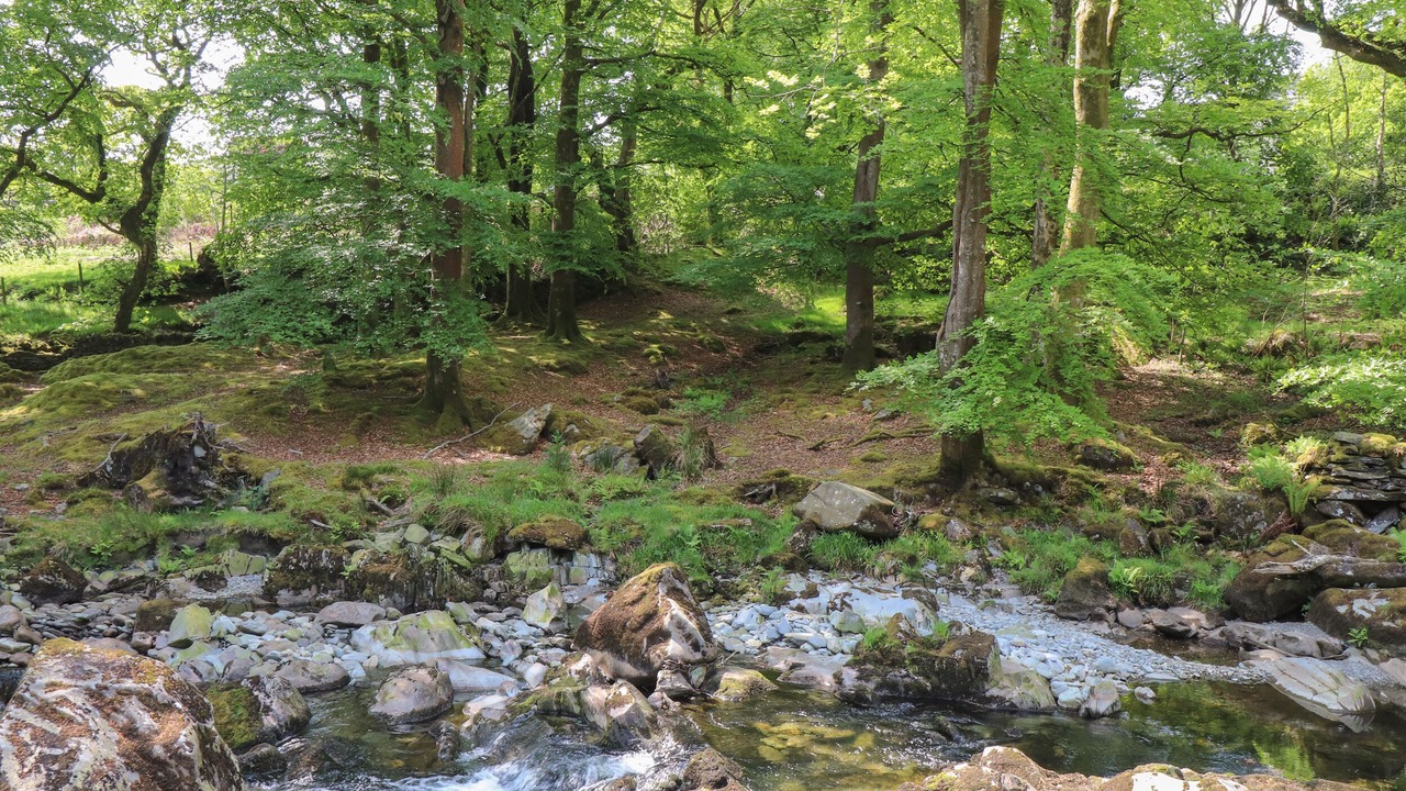 Photo of Others in Llanfairfechan