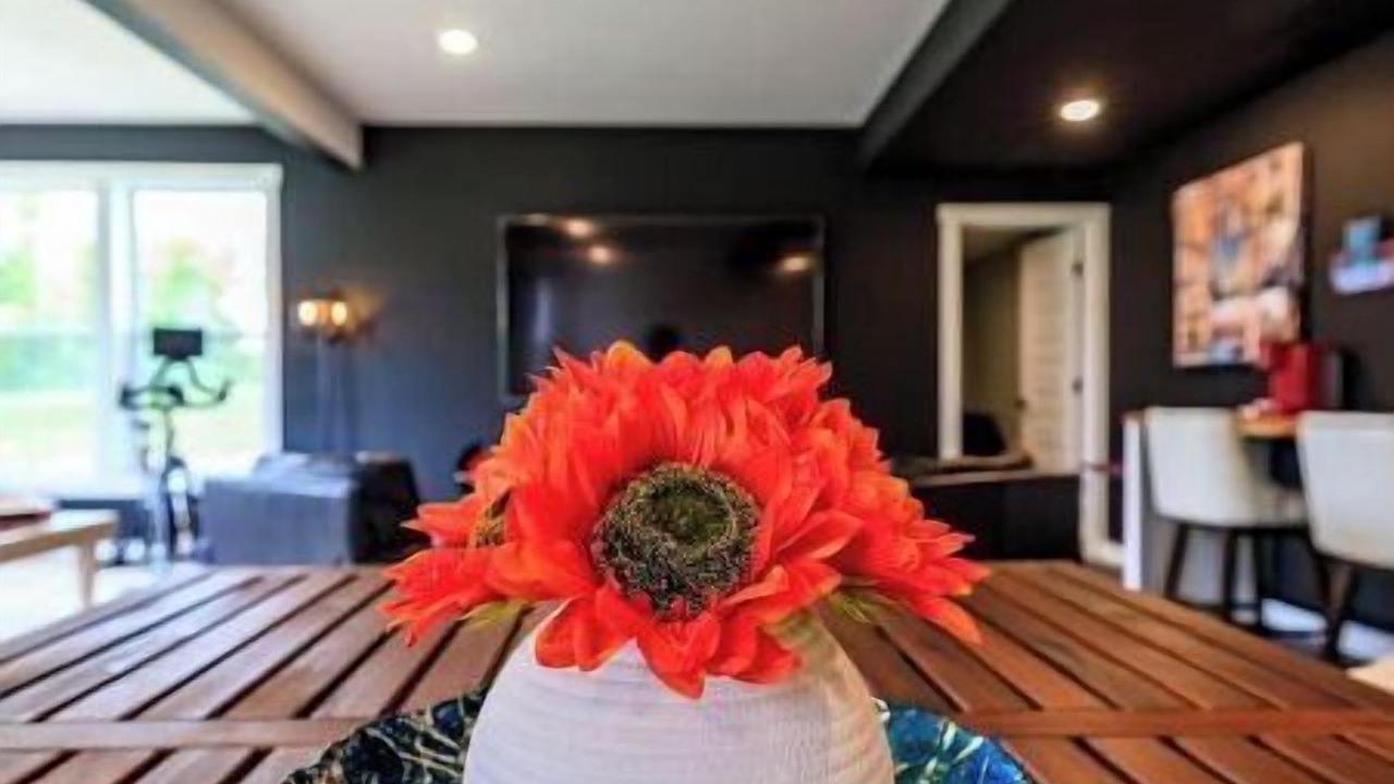 Photo of Others in Camillus