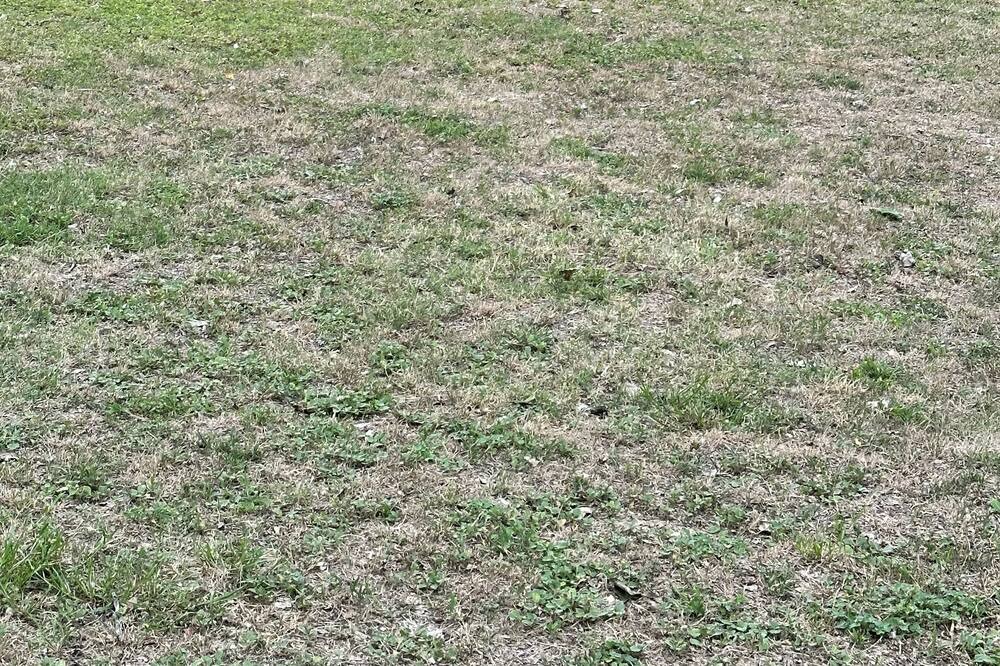 Photo of Outdoor in Dennis