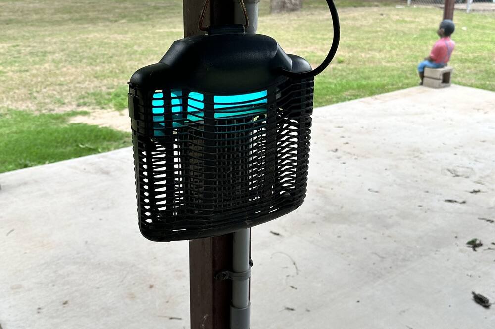 Photo of Outdoor in Dennis