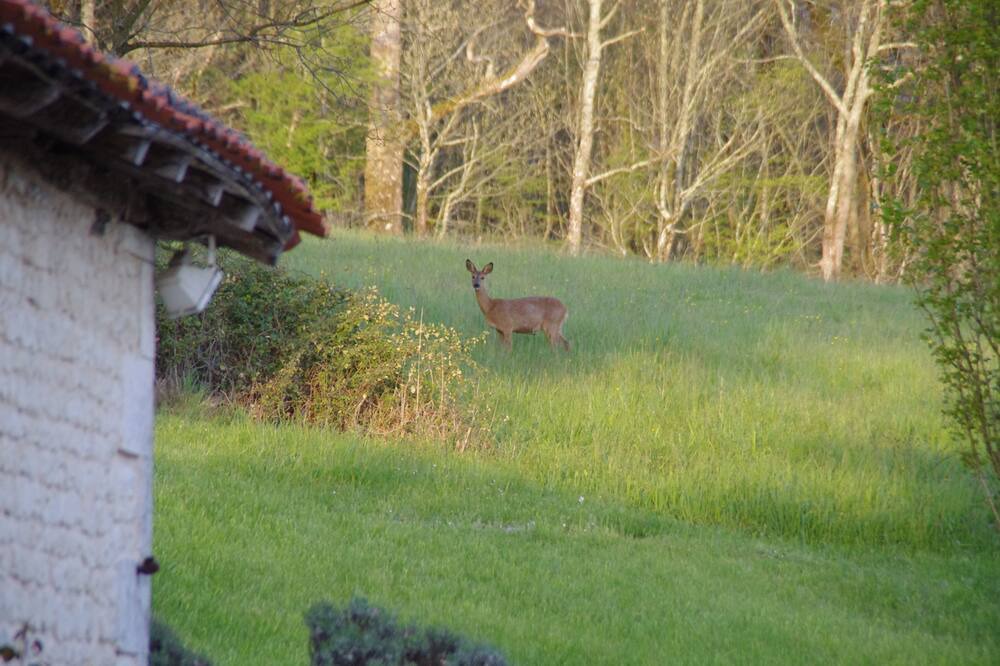 Photo of Others in Poullignac