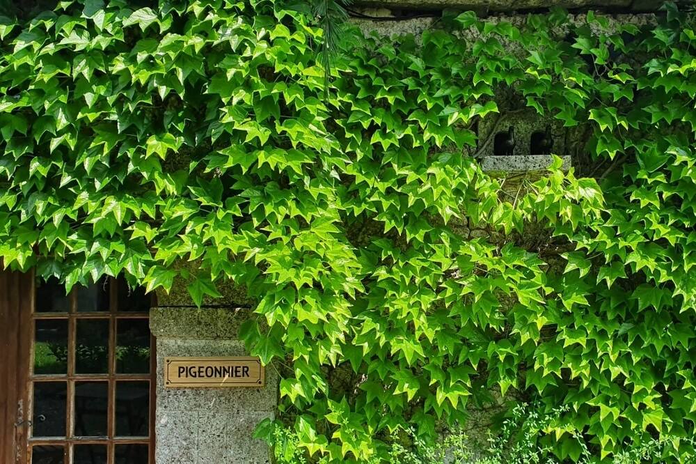 Photo of Others in Poullignac