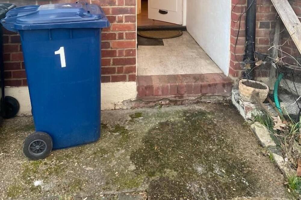 Photo of Outdoor in Gipsy Hill