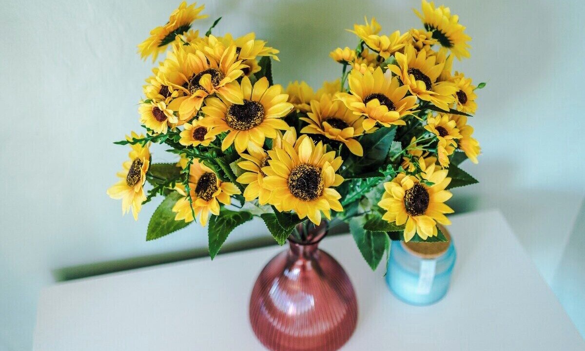 Photo of Others in Sutton Coldfield