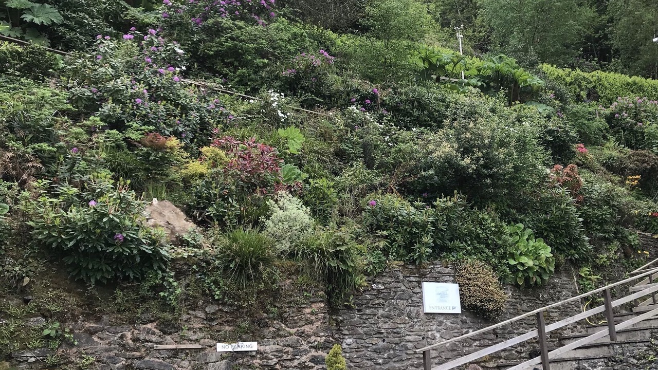 Photo of Outdoor in Lynton