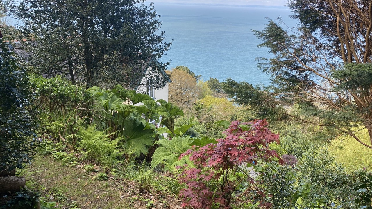 Photo of Outdoor in Lynton