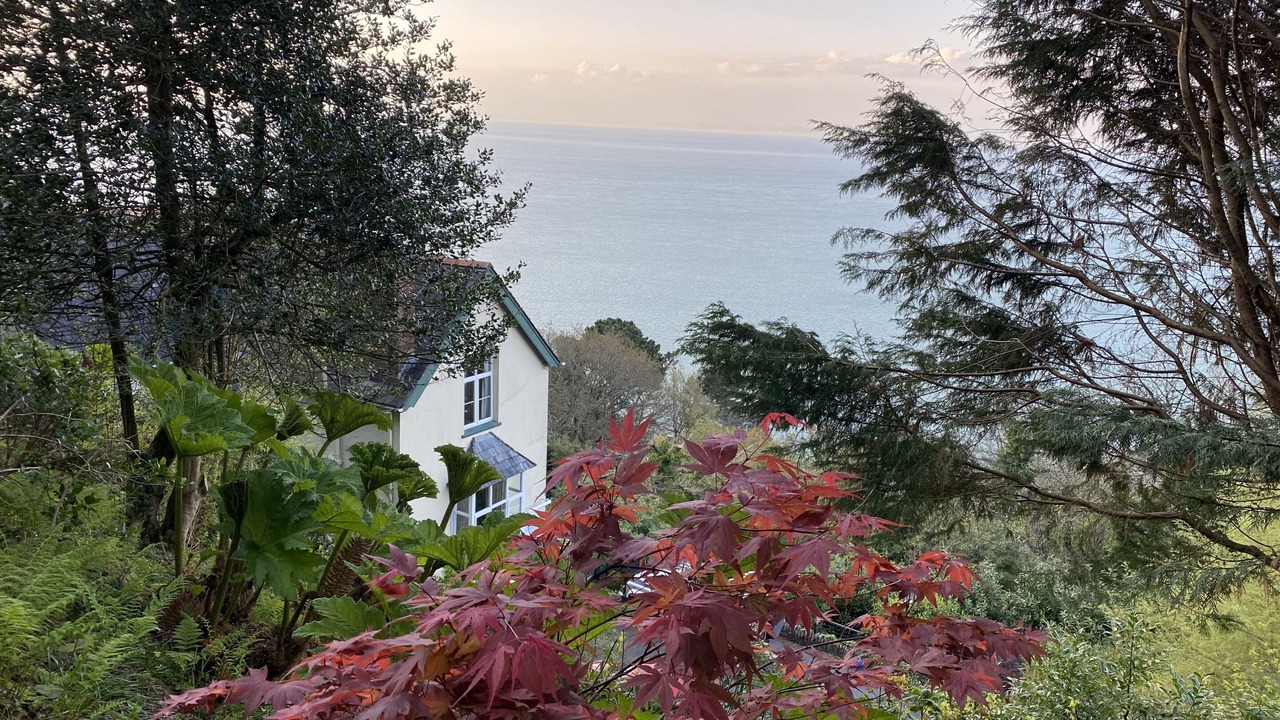 Photo of Outdoor in Lynton