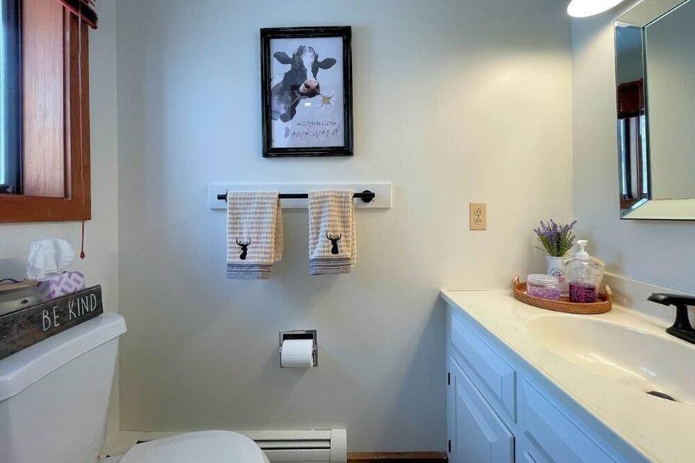 Photo of Bathroom in Bromley Mountain