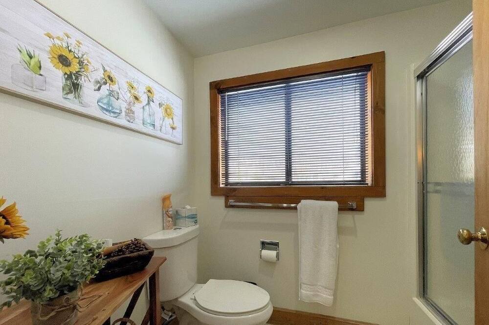 Photo of Bathroom in Bromley Mountain