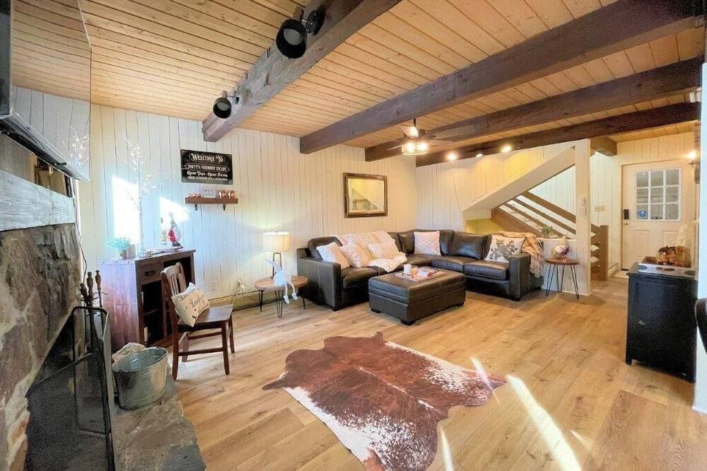 Photo of Livingroom in Bromley Mountain