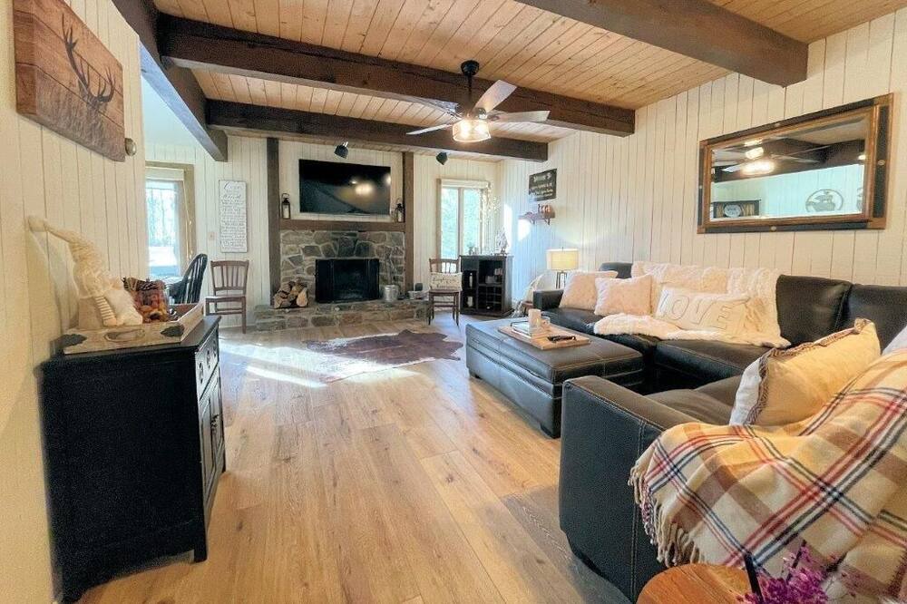 Photo of Livingroom in Bromley Mountain