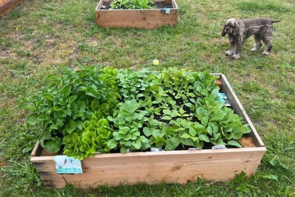 Photo of Outdoor in Dupont