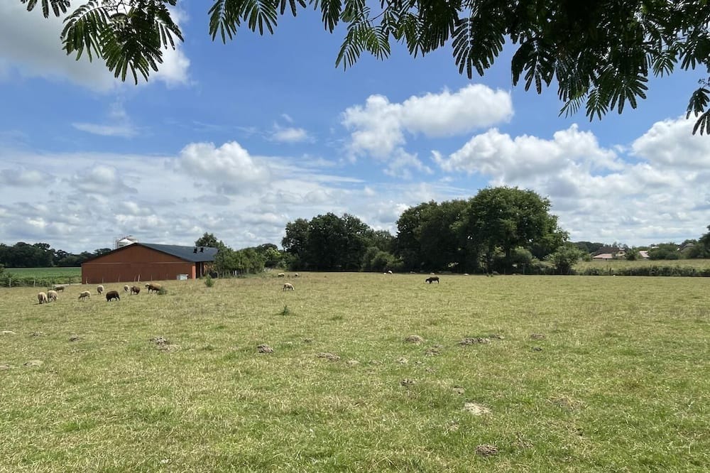 Photo of Others in Bougarber