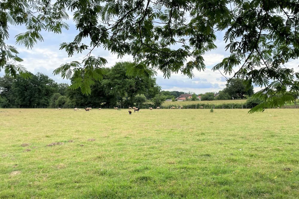 Photo of Others in Bougarber