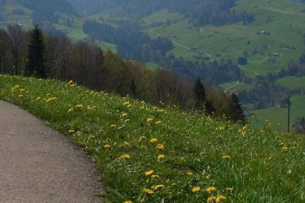 Photo of Others in Ebnat-Kappel