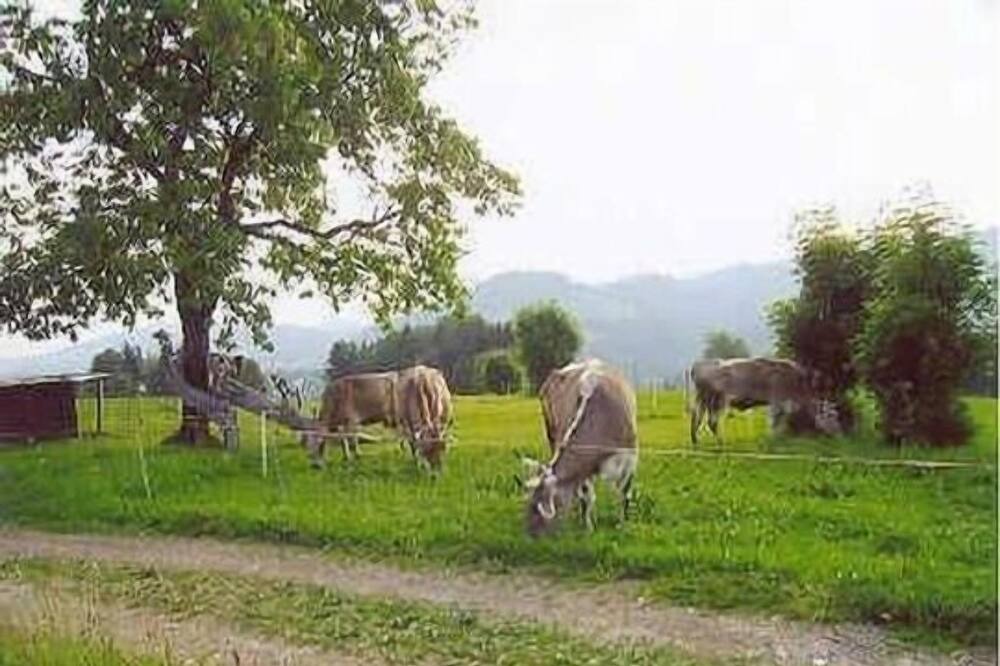 Photo of Outdoor in Herisau