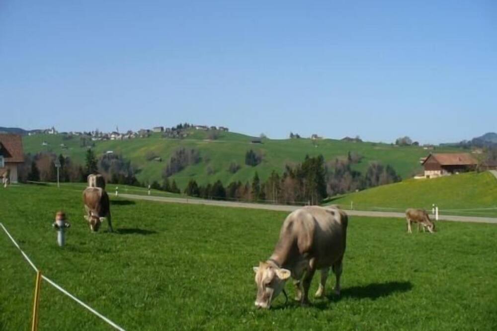 Photo of Others in Hemberg