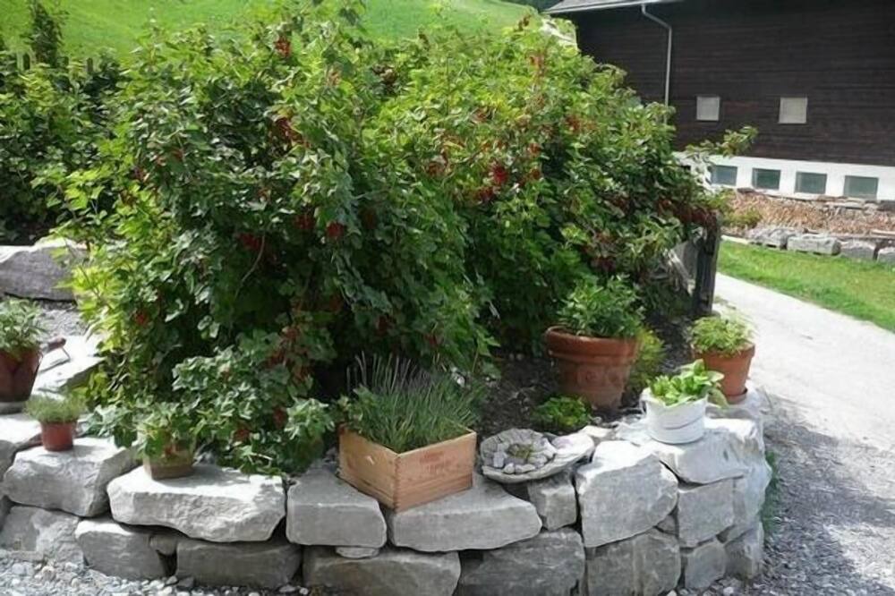 Photo of Outdoor in Flerden