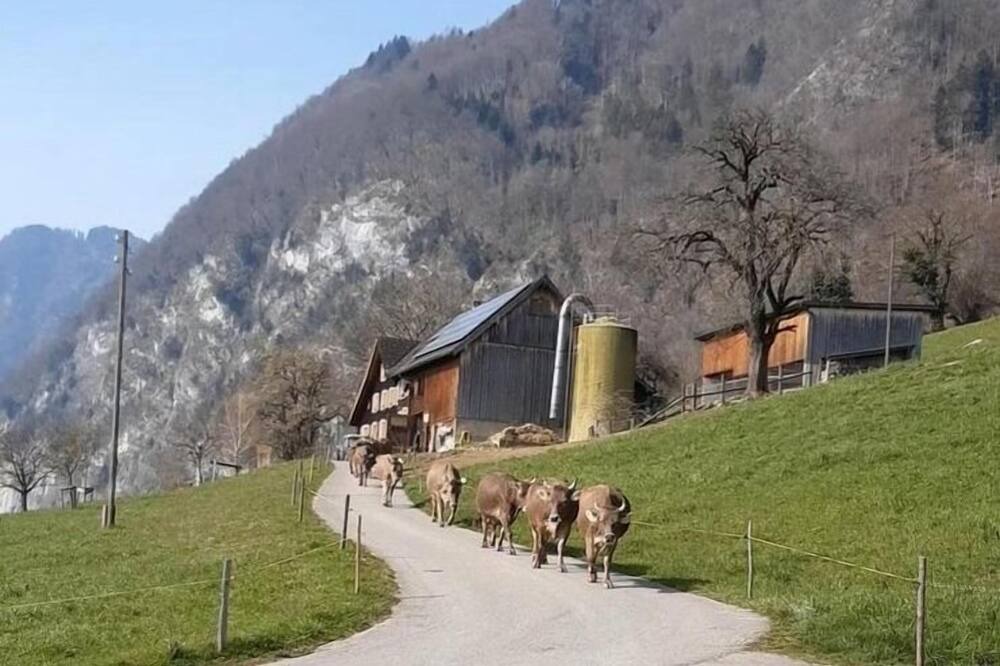 Photo of Outdoor in Lienz