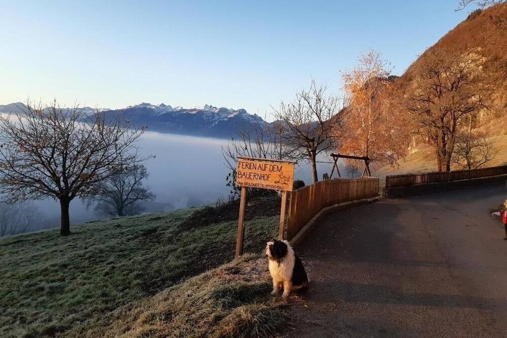 Photo of Outdoor in Lienz
